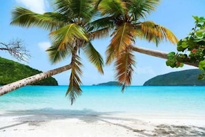 A beach with white sand, clear turquoise water, and a palm tree.