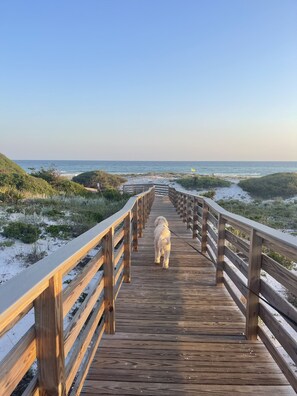 Beach nearby, sun-loungers