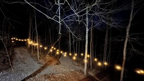 Un sentier bordé d’arbres et illuminé par des guirlandes lumineuses.