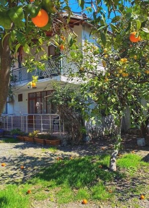 Façana frontal de l'allotjament