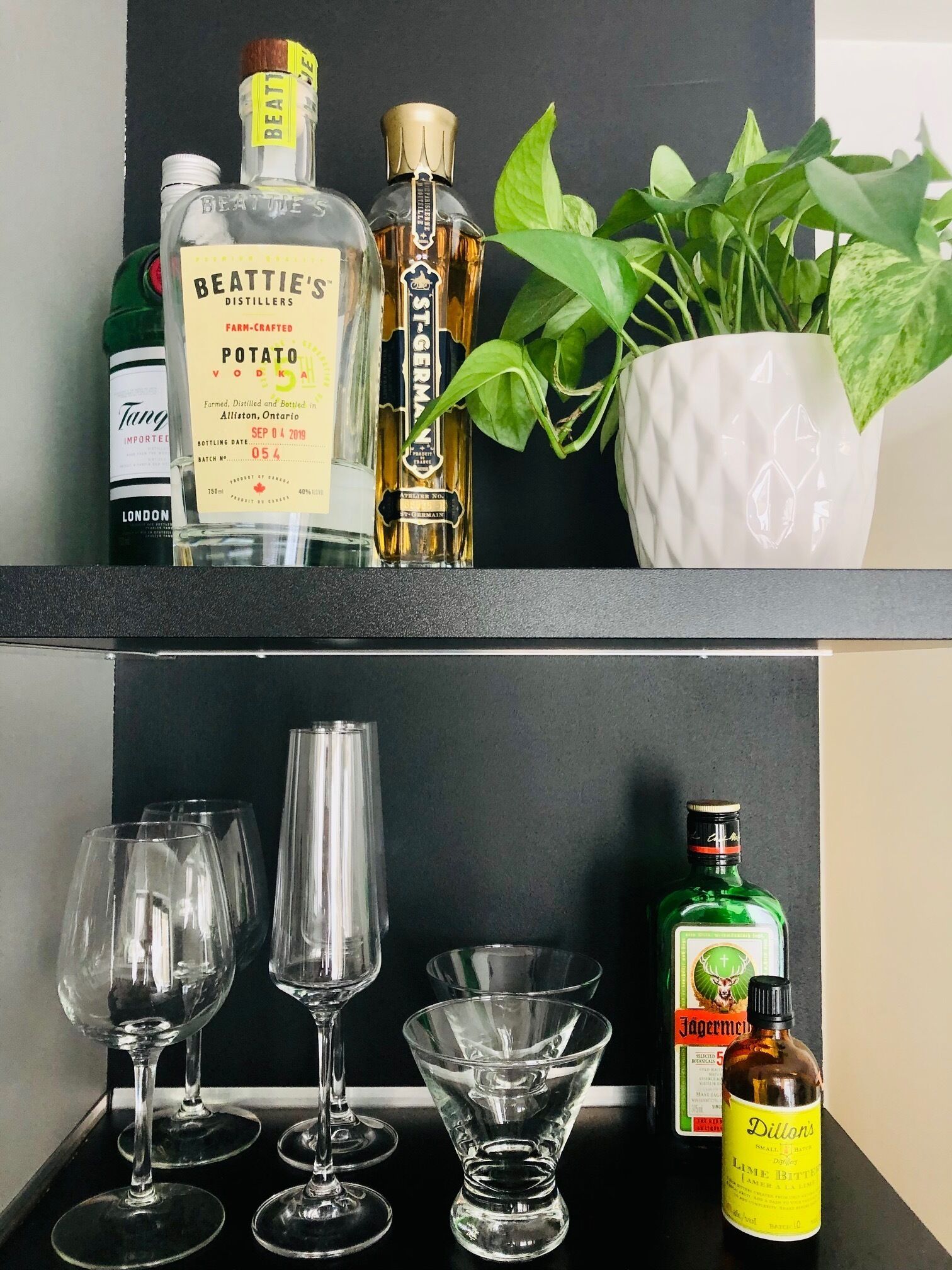 Cozy condo-like 1bdrm – Private Hot Tub, Forest View, Walk to dwtn 