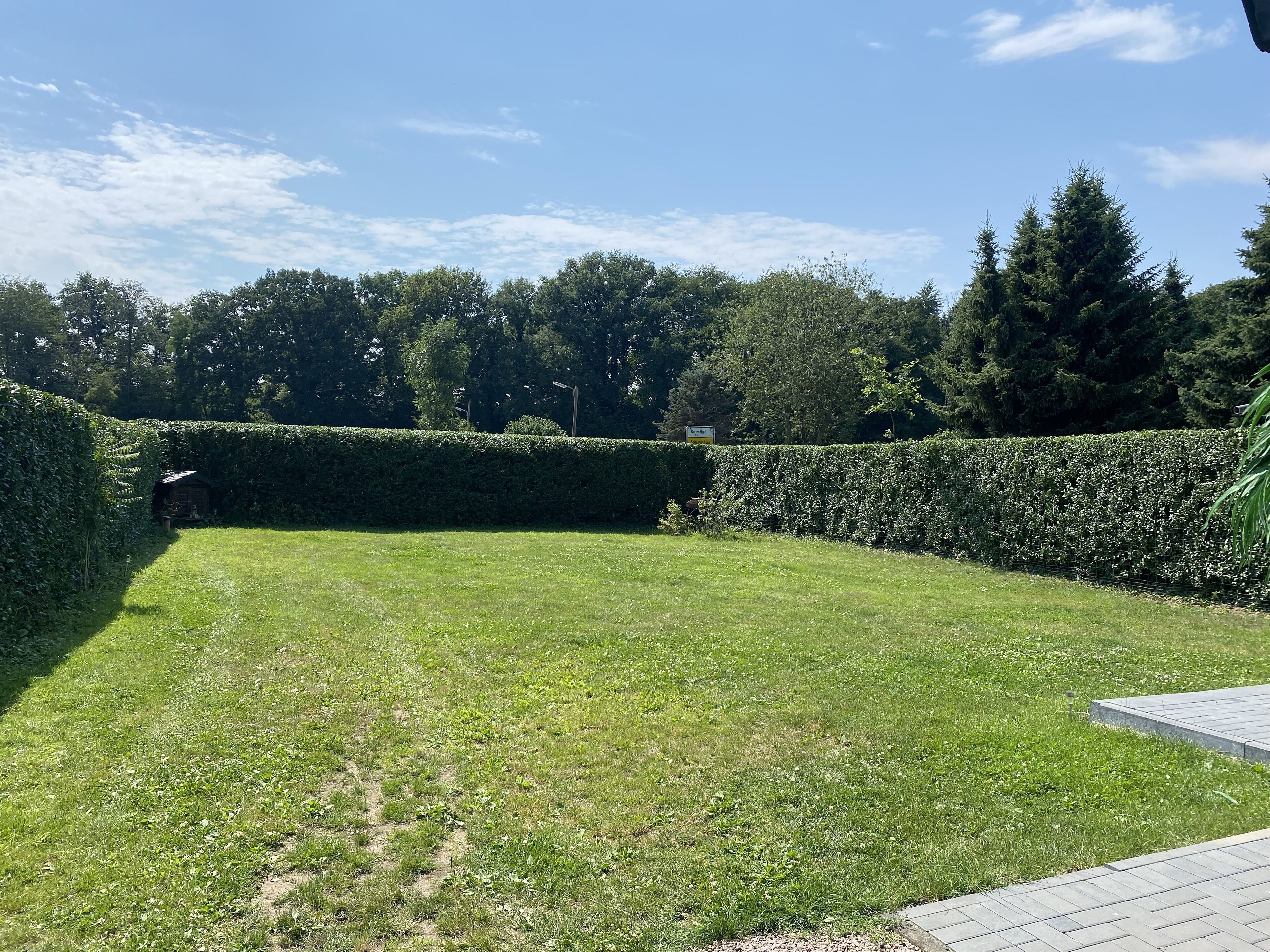 A well-maintained grassy area with a hedge and a small structure, possibly a shed, in the background.