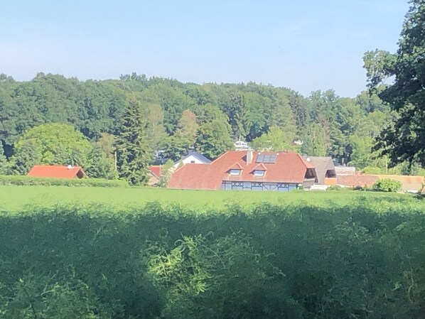 Un paysage rural avec un bâtiment doté d’un toit rouge et de nombreuses fenêtres, entouré d’une végétation luxuriante et d’arbres.