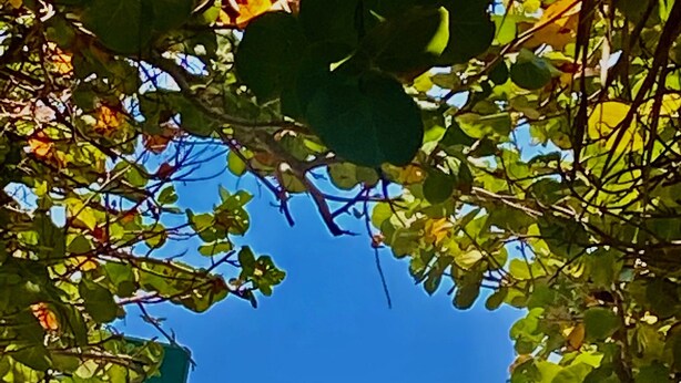 Un sendero bordeando la playa que lleva a una zona arenosa con gente y tiendas de campaña.