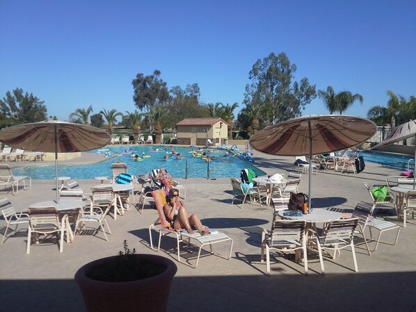 A pool area with lounge chairs and umbrellas, surrounded by palm trees and a clear sky. - Lakefront Home fully furnished (Sun Lakes)