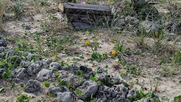 DĂ©tail de lâextĂ©rieur