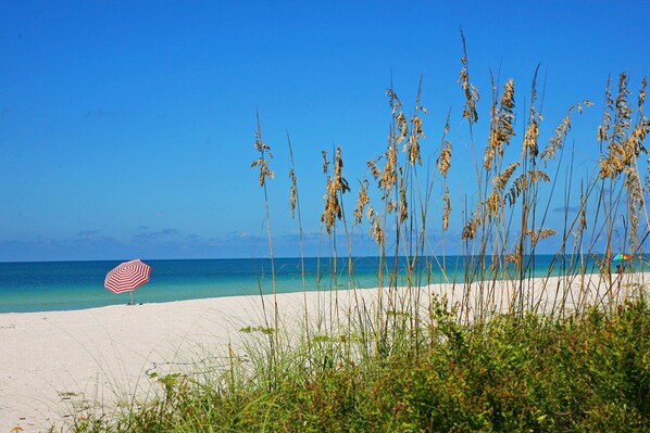 Unclassified image, 1 of 49, button - FABULOUS POOL ~ GAME ROOM ~ PUTT PUTT GOLF ~ CAR CHARGER ~ SPECIALS (Bradenton)