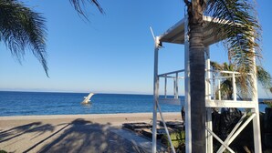 Une plage avec une tour de surveillance, des palmiers et un ciel bleu dégagé.