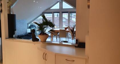 Idyllic modern apartment with two balconies and air conditioning