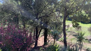 A garden with various plants and trees, a gravel path, and a wooden fence in the background. - Apartment in the heart of Provence on a magnificent golf course (Flassans sur issole)