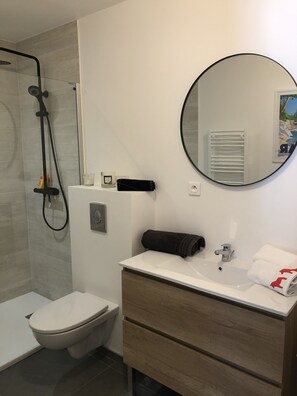 Shower, hair dryer, toilet paper