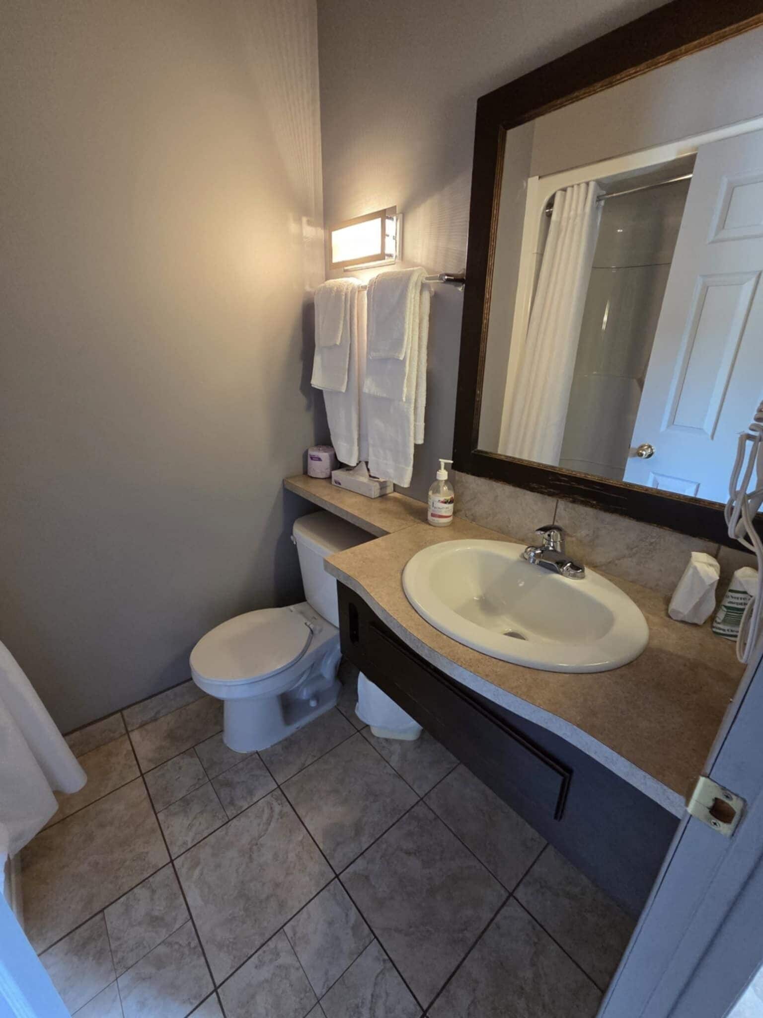 Un baño con inodoro, lavamanos y espejo.