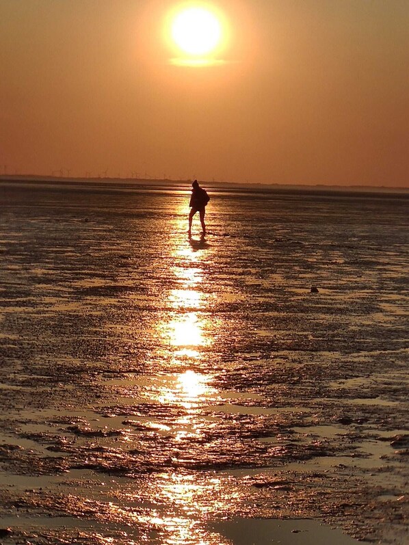In Strandnähe, Liegestühle