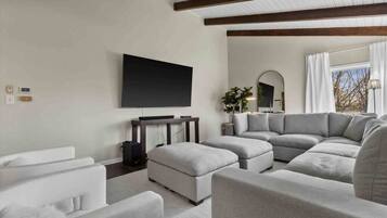 TV, caminetto, videogiochi, lettore DVD