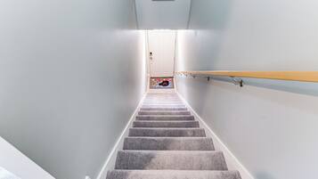 A carpeted staircase with a handrail on the right, a white door at the top, and a small rug with a dog design at the bottom.
