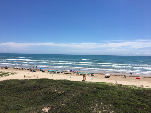 A beach with rows of umbrellas and beach chairs, a lifeguard tower, and the ocean in the background.