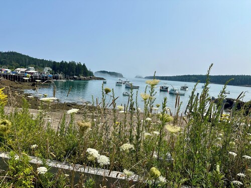 World’s highest tides! Pet friendly, bay front cottage with huge fenced yard.