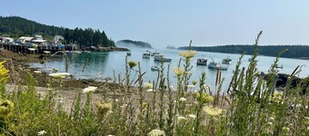 World’s highest tides! Pet friendly, bay front cottage with huge fenced yard.