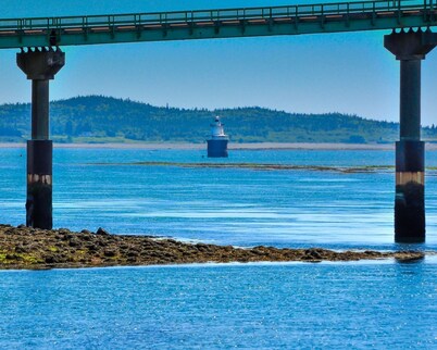 World’s highest tides! Pet friendly, bay front cottage with huge fenced yard.