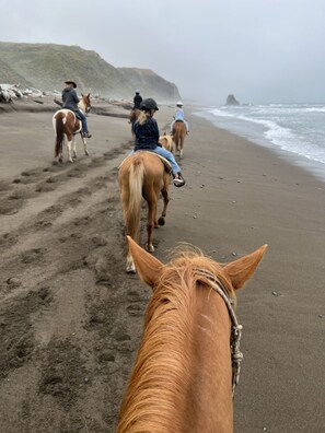 Nära stranden