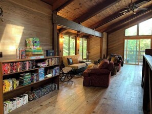 Fireplace, DVD player, books, video library