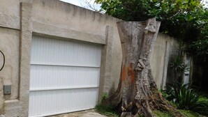 A garage door, a tree trunk, and a concrete wall. - Simple house in Cabo Frio near the beach (Cabo Frio)