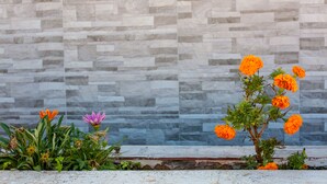 Een tuin met goudsbloemsoorten en een roze bloem voor een stenen muur.