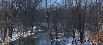 Secluded Cozy Cedar Wood Cabin in 20 acres of native woods, on the Paw Paw river