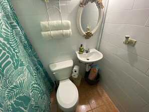 Ensemble douche/baignoire, sèche-cheveux, serviettes fournies