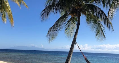Backyard snorkeling with stunning views!