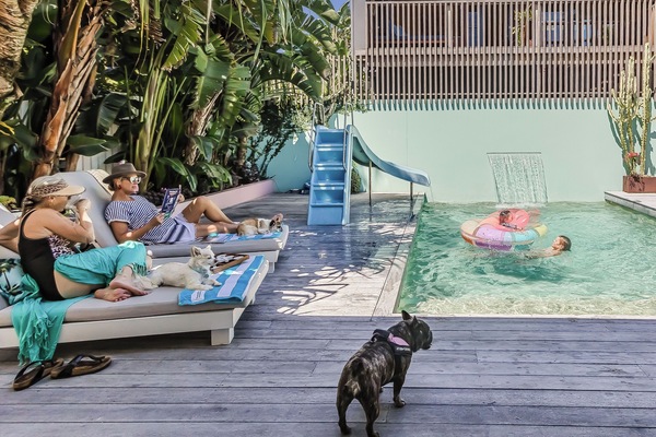 Relax soak up the pool deck surrounded by native and tropical garden