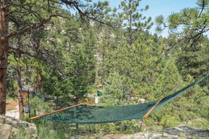 A hammock tied between trees in a forested area with a view of a house in the background.