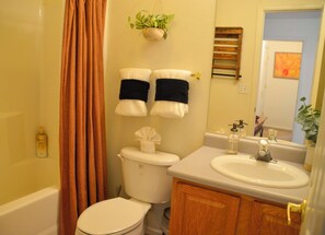 Een haardroger, handdoeken