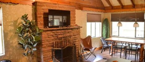 TV, fireplace, books