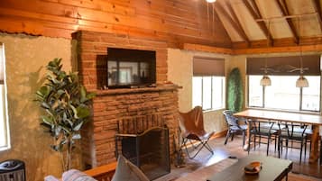 TV, fireplace, books