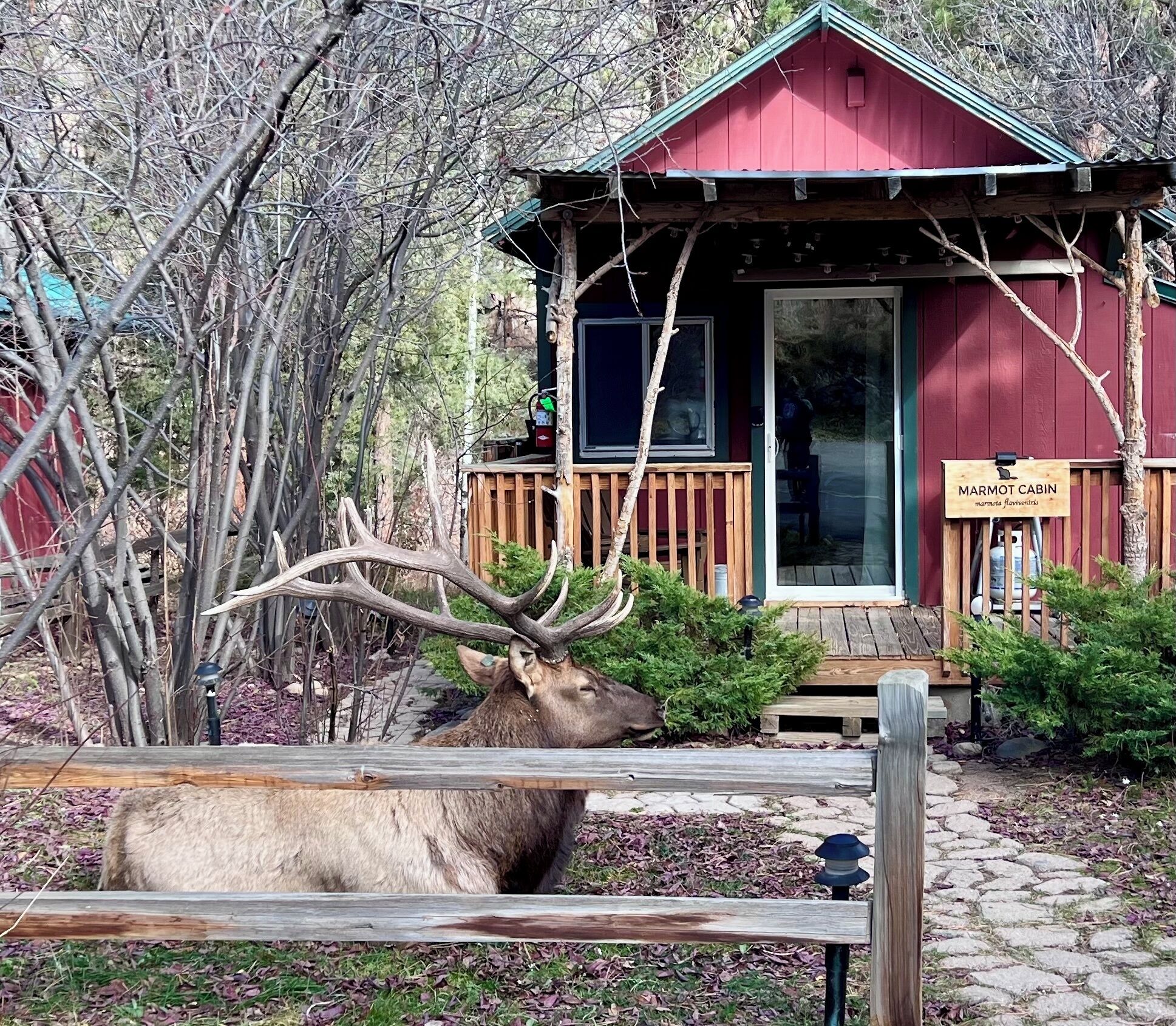 Détail de l’extérieur