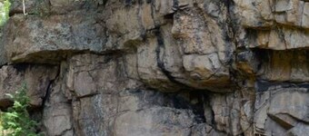 Beaver Lodge at The Woolly Bugger Inn (#14)