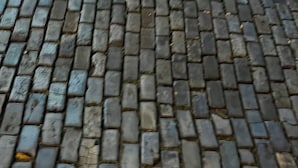 A close-up of a cobblestone pavement.
