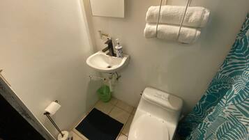 Combined shower/tub, hair dryer, towels
