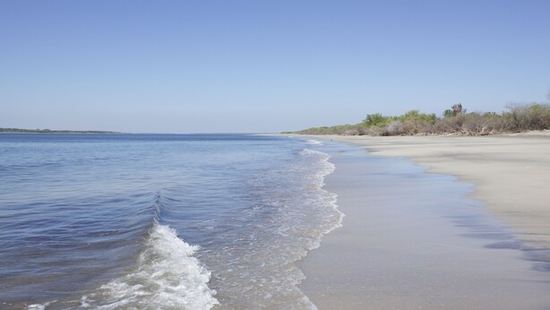 A beach with clear blue water, sandy shore, and sparse vegetation. - Secluded Home with a private beach! On an island accessible by boat. (San Dionisio)