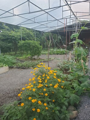 Terrein van de accommodatie