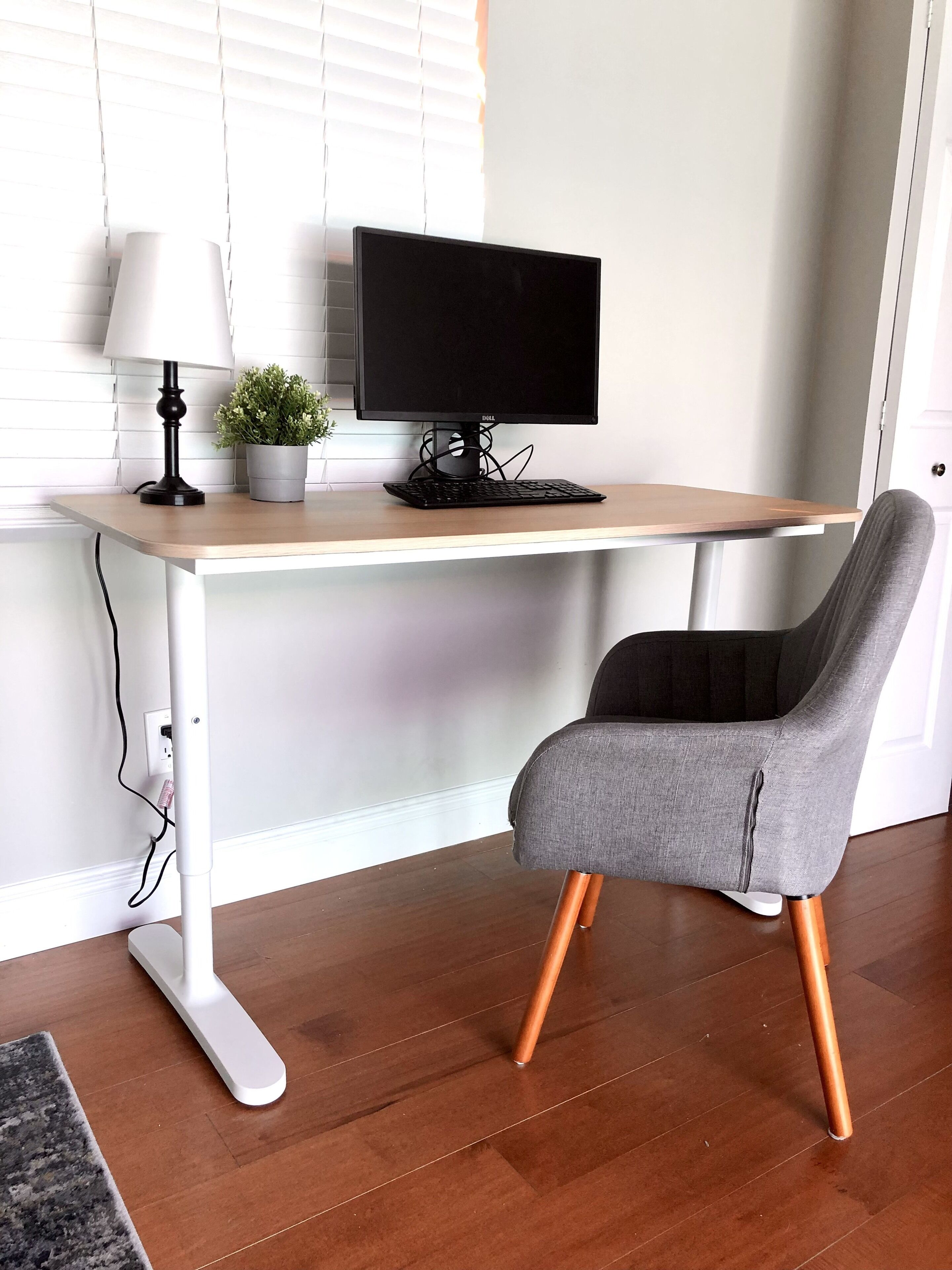 Comfortable 3 bedroom home near Innisbrook Golf Resort