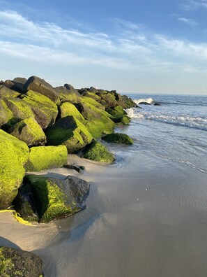 Beach nearby, sun-loungers