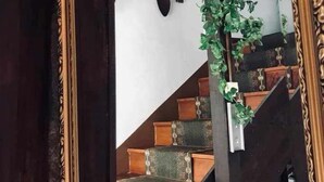 A mirror reflecting a staircase with wooden steps and a green plant.