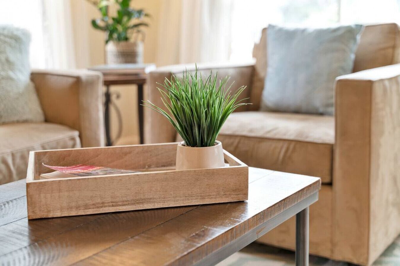 A wooden tray with a potted plant on a wooden table in a living room.