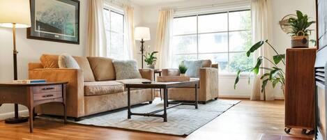 Télévision, cheminée, chaîne hi-fi