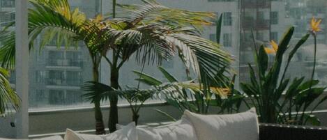 Terrein van de accommodatie