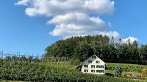 Eksteriør