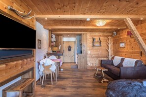 Fernseher, Stereoanlage