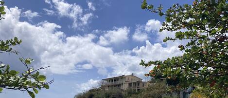 On the beach, sun-loungers